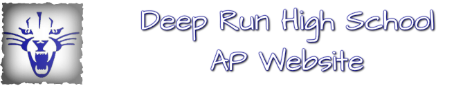 Deep Run AP Website